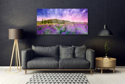 Tableaux sur verre acrylique Prairie fleurs montagnes nature vert violet bleu rose