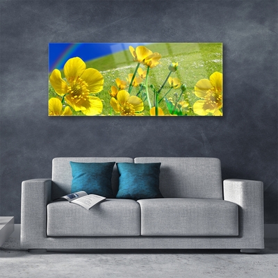 Tableaux sur verre acrylique Prairie fleurs arc en ciel nature jaune bleu vert