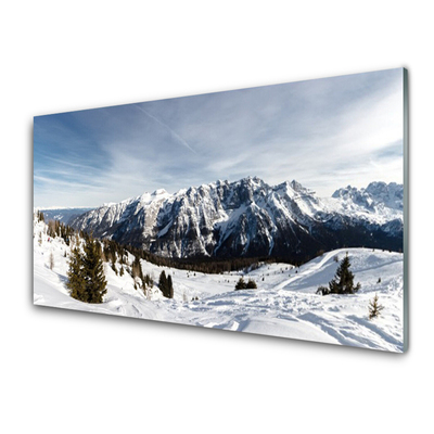 Tableaux sur verre acrylique Montagnes paysage blanc vert gris