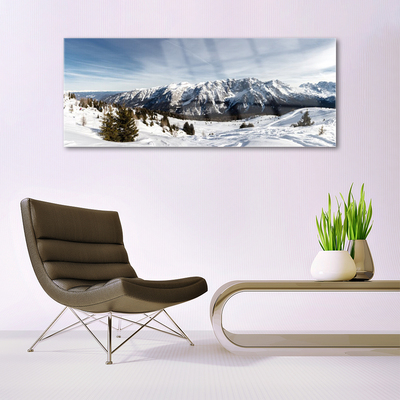 Tableaux sur verre acrylique Montagnes paysage blanc vert gris