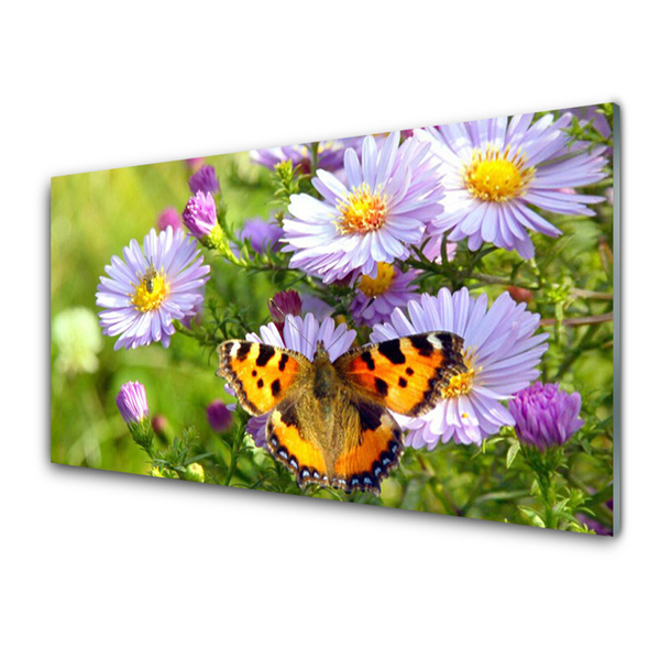 Tableaux sur verre acrylique Fleurs papillon nature orange violet jaune vert