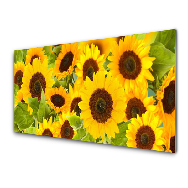 Tableaux sur verre acrylique Tournesols floral jaune brun vert