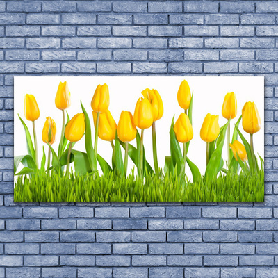 Tableaux sur verre acrylique Tulipes floral jaune vert blanc