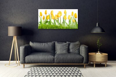 Tableaux sur verre acrylique Tulipes floral jaune vert blanc