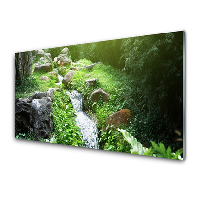 Tableaux sur verre acrylique Ruisseau herbes pierres nature vert blanc gris