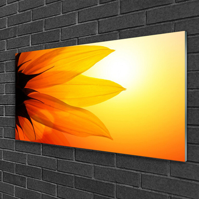 Tableaux sur verre acrylique Fleur floral jaune noir orange