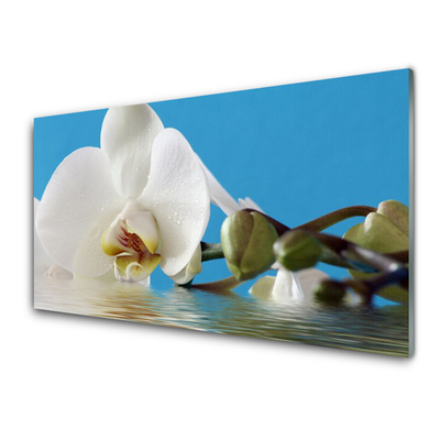 Tableaux sur verre acrylique Fleur floral blanc vert bleu