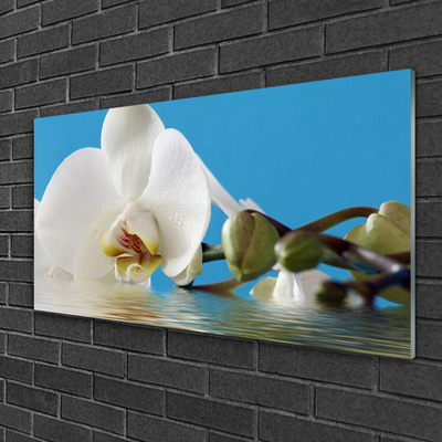 Tableaux sur verre acrylique Fleur floral blanc vert bleu