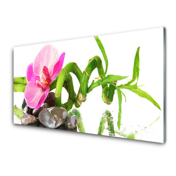 Tableaux sur verre acrylique Fleur floral rose vert gris blanc
