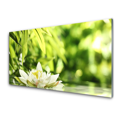 Tableaux sur verre acrylique Fleurs feuilles floral blanc vert jaune