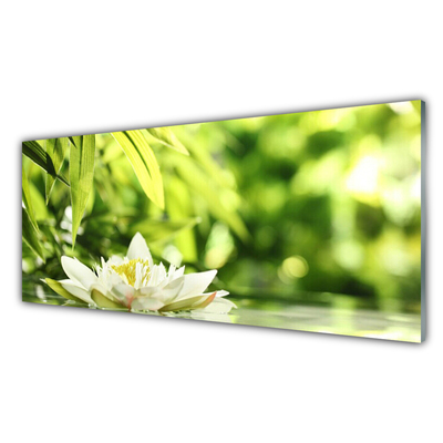Tableaux sur verre acrylique Fleurs feuilles floral blanc vert jaune