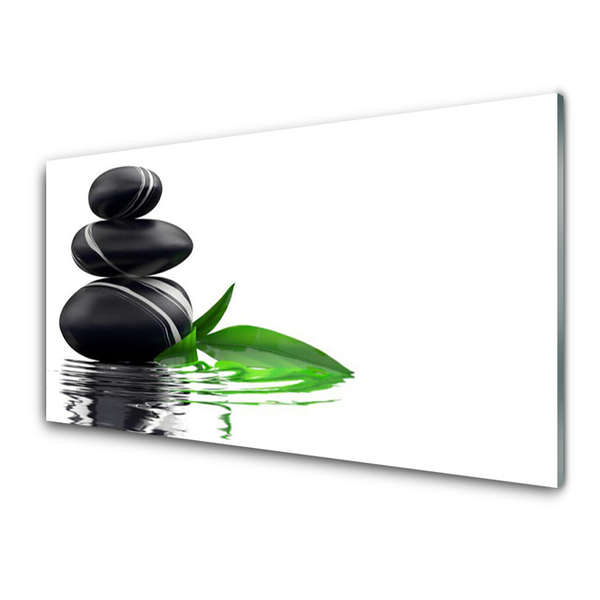 Tableaux sur verre acrylique Pierres feuilles eau art noir vert blanc 