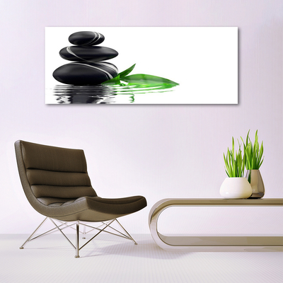 Tableaux sur verre acrylique Pierres feuilles eau art noir vert blanc