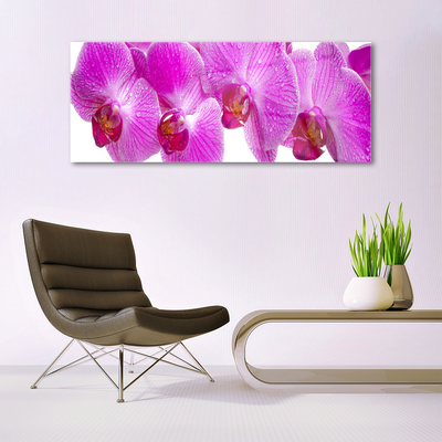 Tableaux sur verre acrylique Fleurs floral rose
