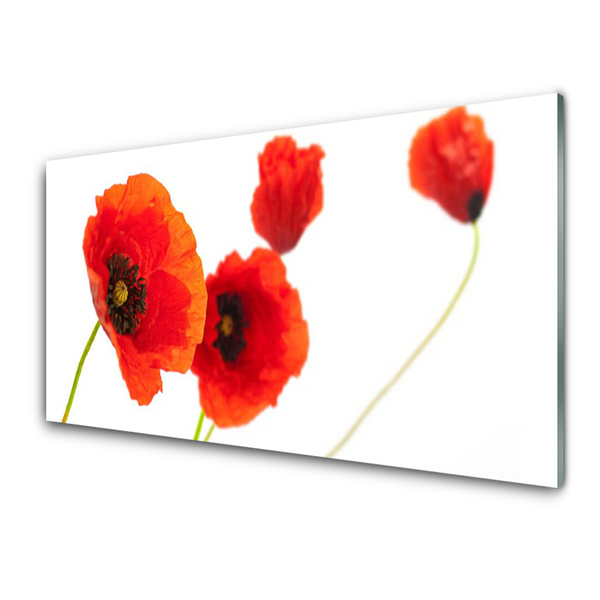 Tableaux sur verre acrylique Fleurs floral rouge vert