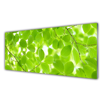 Tableaux sur verre acrylique Feuilles nature vert