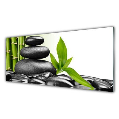 Tableaux sur verre acrylique Pierres feuilles art noir vert