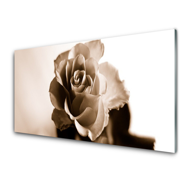 Tableaux sur verre acrylique Rose floral sépia