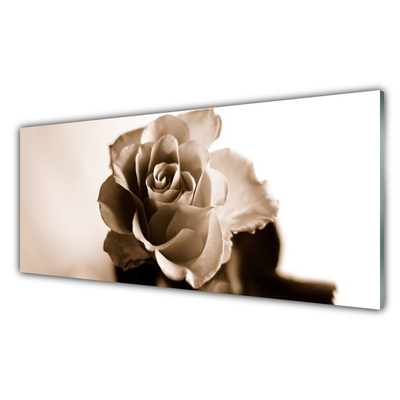 Tableaux sur verre acrylique Rose floral sépia