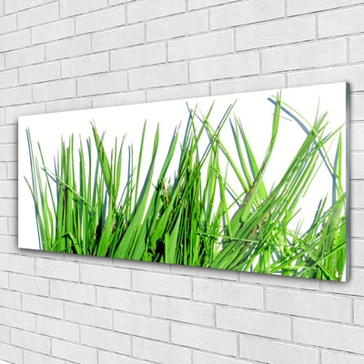 Tableaux sur verre acrylique Herbe floral vert