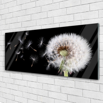 Tableaux sur verre acrylique Pissenlit floral blanc noir