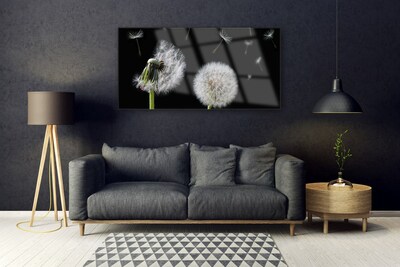 Tableaux sur verre acrylique Pissenlit floral blanc noir