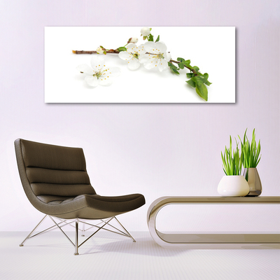 Tableaux sur verre acrylique Fleurs branche nature blanc brun vert