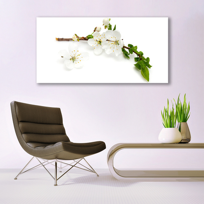 Tableaux sur verre acrylique Fleurs branche nature blanc brun vert