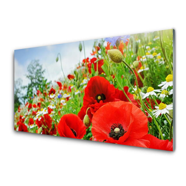 Tableaux sur verre acrylique Fleurs nature rouge vert
