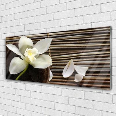Tableaux sur verre acrylique Fleur floral blanc brun vert