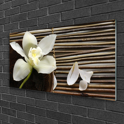 Tableaux sur verre acrylique Fleur floral blanc brun vert