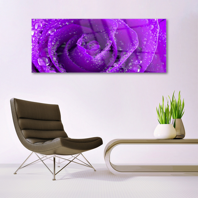 Tableaux sur verre acrylique Rose floral violet