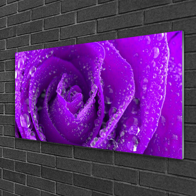 Tableaux sur verre acrylique Rose floral violet