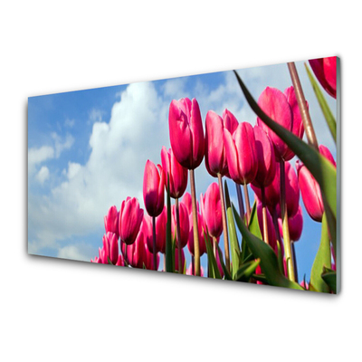 Tableaux sur verre acrylique Tulipe floral rose vert