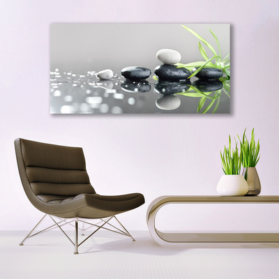 Tableaux sur verre acrylique Pierres herbe art noir blanc gris vert