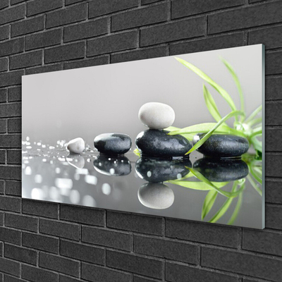 Tableaux sur verre acrylique Pierres herbe art noir blanc gris vert