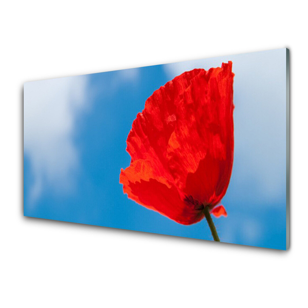 Tableaux sur verre acrylique Tulipe floral rouge bleu