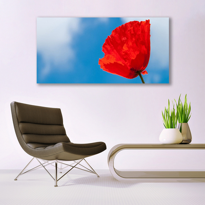 Tableaux sur verre acrylique Tulipe floral rouge bleu