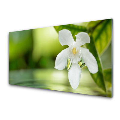 Tableaux sur verre acrylique Fleurs feuilles floral blanc vert