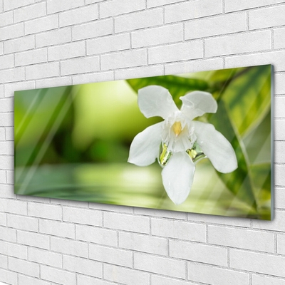 Tableaux sur verre acrylique Fleurs feuilles floral blanc vert