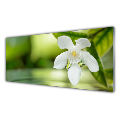 Tableaux sur verre acrylique Fleurs feuilles floral blanc vert