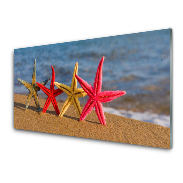 Tableaux sur verre acrylique Plage étoile de mer art multicolore