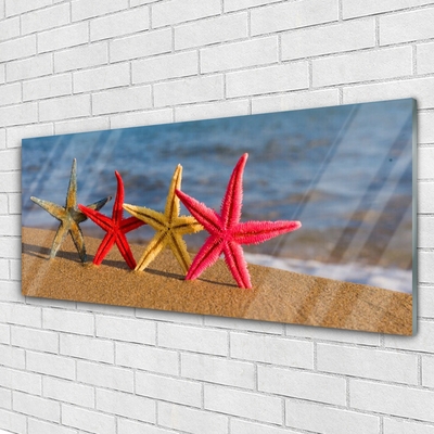 Tableaux sur verre acrylique Plage étoile de mer art multicolore