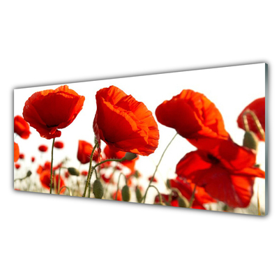 Tableaux sur verre acrylique Tulipes floral rouge blanc