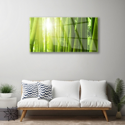 Tableaux sur verre acrylique Bambou floral vert