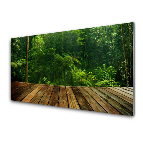 Tableaux sur verre acrylique Forêt nature vert brun