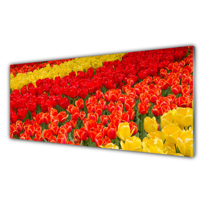 Tableaux sur verre acrylique Tulipes floral rouge jaune