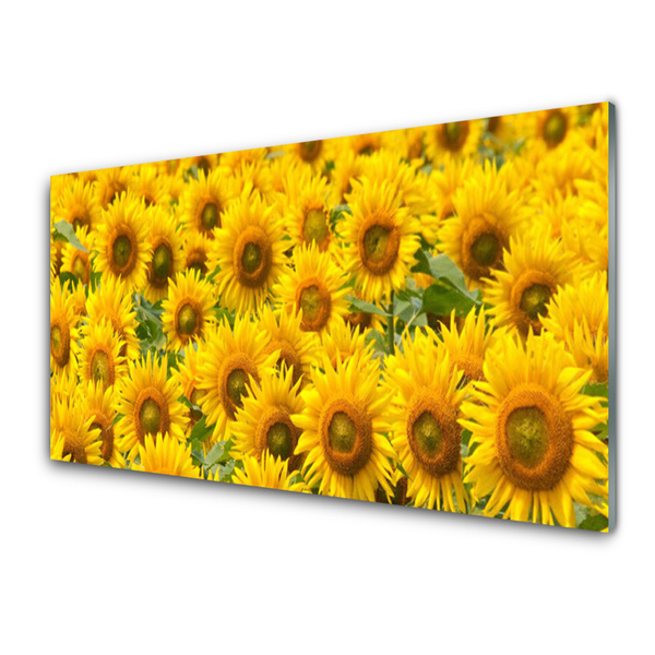 Tableaux sur verre acrylique Tournesol floral jaune brun vert