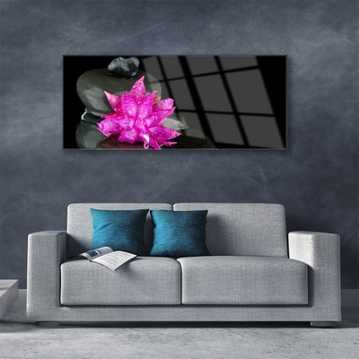 Tableaux sur verre acrylique Fleurs pierres floral rose gris