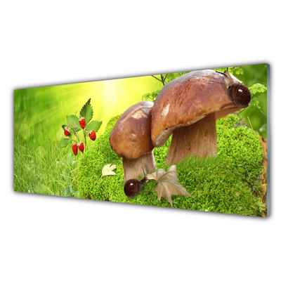 Tableaux sur verre acrylique Champignons herbe fraises des bois nature brun rouge vert